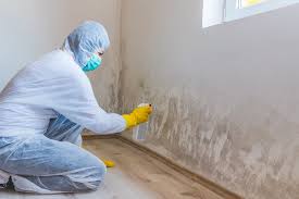 Best Biohazard Mold Removal  in Park Forest, IL