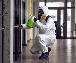 Why You Should Choose Our Mold Remediation Services in Park Forest, IL